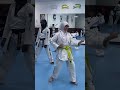 Mikku taekwondo