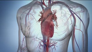 New revolutionary procedure to treat atrial fibrillation | Sharp is first hospital on West Coast for