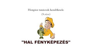 Horgász tanácsok kezdőknek (9.rész) - HAL FÉNYKÉPEZÉS