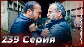 Долина Волков Западня | Эпизод 239 ПОЛНЫЙ HD