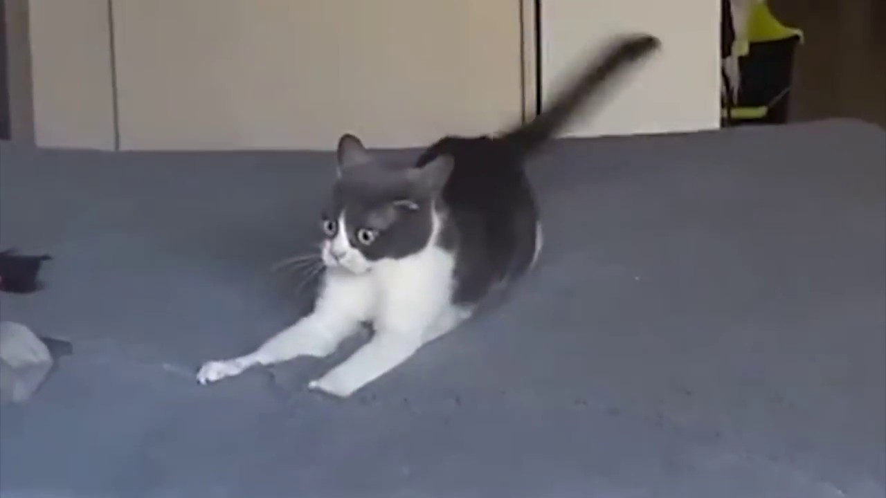 Https Youtu Be Wpzyjqiwbne R Memezfordayz