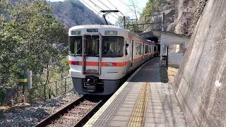 【飯田線の秘境駅】険しすぎる立地、田本駅に行ってみた【2019春飯田線遠征3】