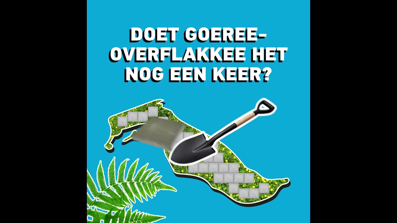 NK Tegelwippen Van Start: Wipt De Hoeksche Waard Dit Jaar Goeree ...