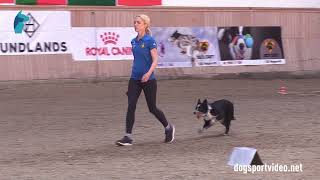 Qualification - Sara Lidén + Kronvallaren Dot/Border Collie - Sweden