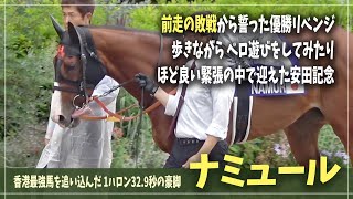 【ナミュール】皆の想いを心に紡いで、香港最強馬に全力で挑んだ日《安田記念》