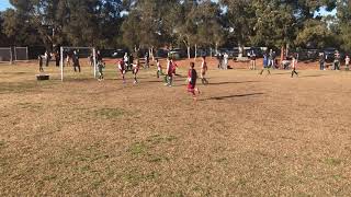 2019.07.20 U9 Taipans vs Hornsby Heights