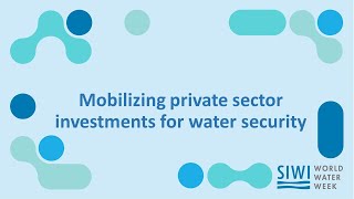 Mobilizing private sector investments for water security