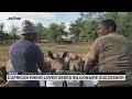 south african rhino lover seeks billionaire successor