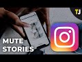 How to Mute Someone's Story on Instagram