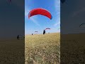 pong dam paragliding paraglidingdobhi