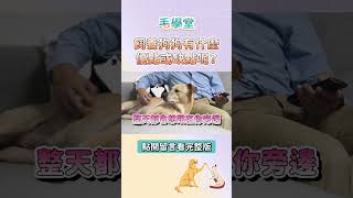 汪星人把你當成全世界！飼養狗狗有什麼優點或缺點？ #毛學堂 #獸醫蔣蔣話 #蔣明軒 #寵物知識