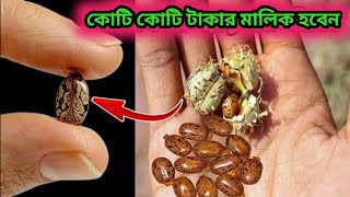 পাতাল লোকে যদি গুপ্তধন থেকে থাকে, তাহলে এর দ্বারা আপনি দেখতে পাবেন - স্বয়ং রাবণ বলেছেন