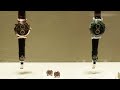 patek philippe watch art grand exhibition tokyo 2023