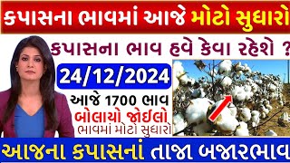 Kapas na bhav | 24-12-2024 | કપાસના ભાવ:2024 | Information about cotton crop price | Commodity Trend