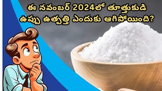 when Thoothukudi salt production stopped in November 2024