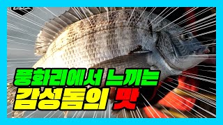 ep.16 풍화리 감성돔 어디까지 잡아봤니?