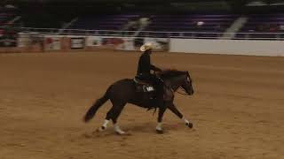 2024 Ranch Horse World Show Senior Ranch Reining Jurge Puente on Dual Reality