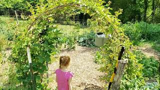 The cutest garden tour ever! Love Farm