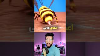 چرا زنبورها بعد از اینکه نیش میزنن میمیرن 😫🐝