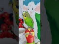 有滋有味过大年 萌宠过大年 快手宠物天团 带着宠物去赏花 cutebirds parrot