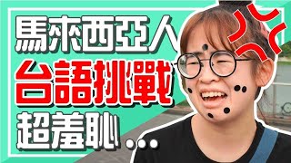 嚇死導遊！外國人在台南嘉義亂飆台語 遭超醜懲罰！｜【手癢計劃】