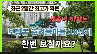 최근 2달간 최고가를 찍은 세종시 아파트 호려울마을 10단지 중흥S클래스 소개