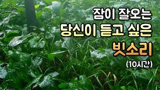 시원한 빗소리가 잠오게 만듭니다ㅣ10분 후 어두운 화면ㅣ공부, 집중, whitenoise