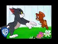 Tom & Jerry | Run, Jerry, Run! | Classic Cartoon Compilation | WB Kids