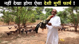 ऐसा फ्री रेंज देशी मुर्गी फार्म देख कर मज़ा ना आए तो बोलना | Aseel Murgi Palan | Poultry Farm Tour