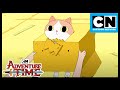 Box Cat | Adventure Time | Season 5 | Cartoon Network