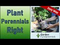 How to Plant Perennials 🌺🌹💐 Secrets to Success