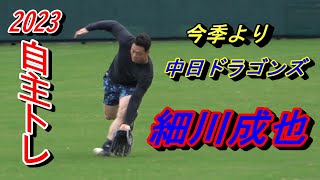 【2023自主トレ】中日ドラゴンズの一員となった細川成也選手・・・浅村栄斗選手らと自主トレ！