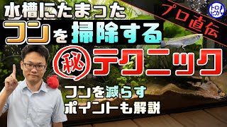 【プロ直伝】水槽にたまったフンを掃除するマル秘テクニック3選！フンを減らすポイントも教えます！