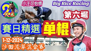 〖賽日精選單棍〗1-12-2024 沙田泥草混合賽 - 提供第 6 場 : WP馬胆，單棍或一拖二 (大米提供) #大米講馬