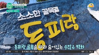 가을에 딱 가기 좋은 이곳! 통영의 아이콘⭐ 동피랑 벽화마을을 소개합니다~ | 행복한 아침 917 회