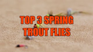 Top 3 Trout Flies for Spring Fly  Fishing with Grand River Outfitting and Fly Shop - Live 2 Fish