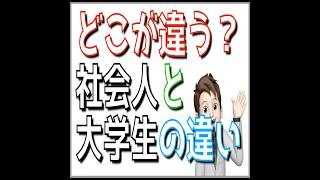 どこが違う？〜大学生と社会人の違い　＃Shorts ＃就活　＃社会人との違い　＃大学生と社会人の違い