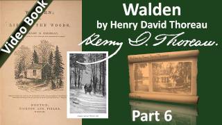 Part 6 - Walden Audiobook by Henry David Thoreau (Chs 16-18)