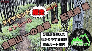 ［一の鳥居 金剛山→紀見峠 縦走ルート］ダイヤモンドトレール登山道案内🔀山登り初心者に紹介 YT-024