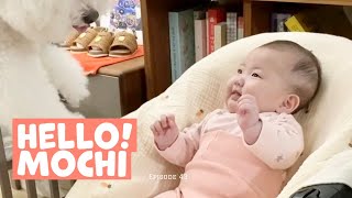 Episode 43. 강아지와 처음 만난 아기💕 | 안녕 모찌야🐶| When baby met puppy❤️ [OOOZ TWINS]