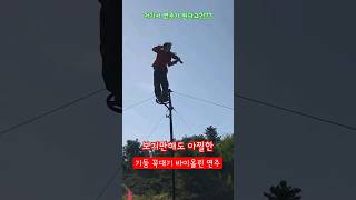 아슬아슬 기둥 꼭대기에서 연주하는 바이올린 서커스 #서커스 #무모한도전 #Circus