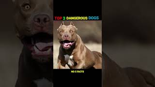 ⚡top 3 dangerous dogs in telugu⚡| Interesting facts telugu⚡| random facts | #shorts #ytshorts