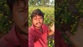 💥 பேராசை படலாமா விவசாயி? நண்பா#comment #subscribe #shorts#reality  #villagelife#money #life