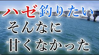 【ハゼ釣り】相模川河口でハゼ狙い！