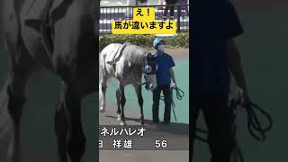 名古屋競馬7番の馬が違う！？❻と❼のお馬が入れ替わってパドックに登場→解説者が気づいて大惨事免れる