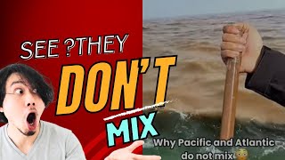 Why Pacific and Atlantic Ocean Do Not Mix?😲
