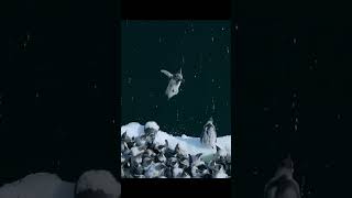 Penguin Chicks Jump Off 50-Foot Cliff! 😱🐧 Watch the Thrilling Leap! #shorts