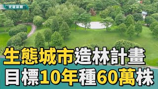 種 樹|桃園生態城市造林計畫  目標10年種60萬株