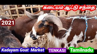 கடையம் ஆட்டு சந்தை/ KADAYAM GOAT MARKET/ TENKASI /@tamilvivasayi