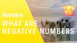 What Are Negative Numbers? | Numbers | Maths | FuseSchool